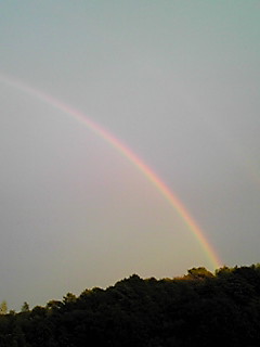 rainbow03
